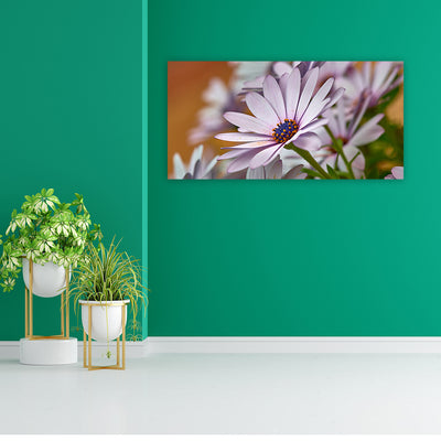 Daisy Flower Canvas Wall Painting