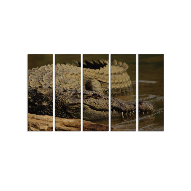 Crocodile In Water Canvas Wall Painting - With 5 Panel