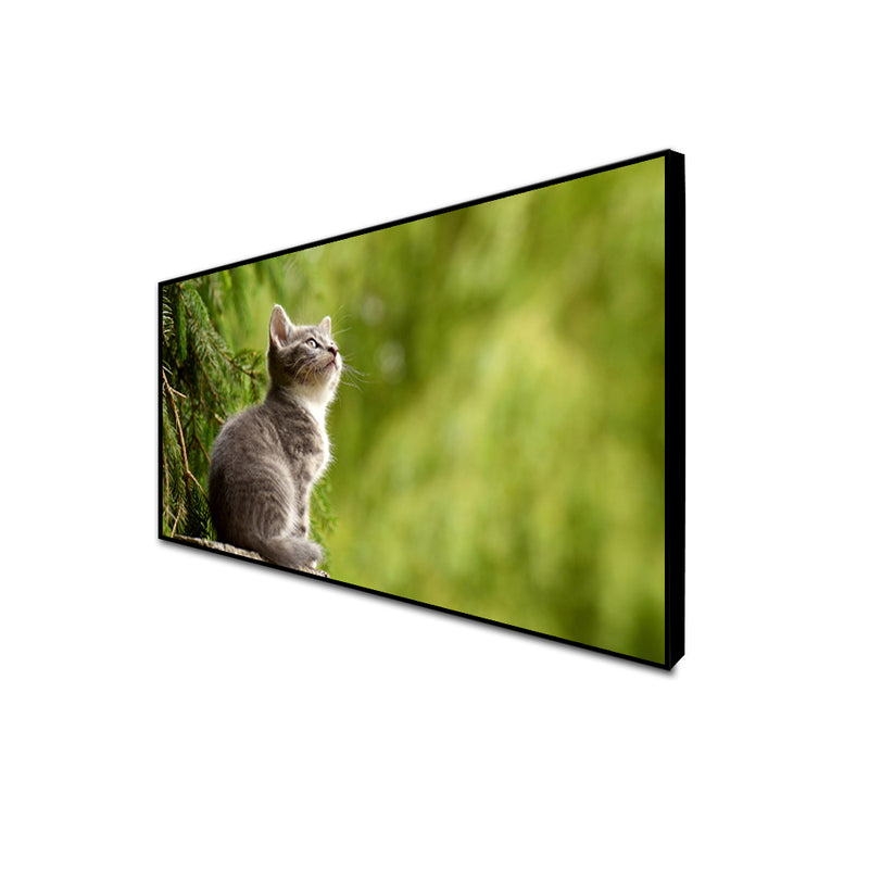 Lovely Cat Canvas Floating Frame Wall Painting