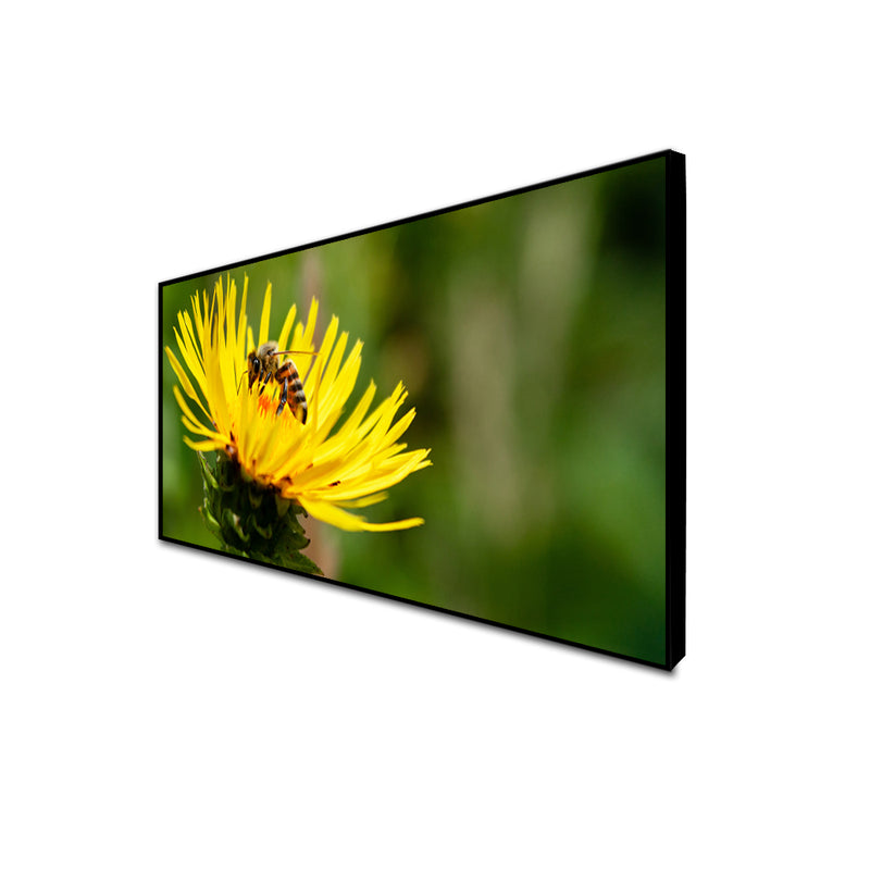 Bee On Sun Flower Canvas Floating Frame Wall Painting