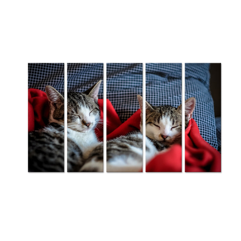 Cute Kittens Sleeping Together Canvas Wall Painting - With 5 Panel