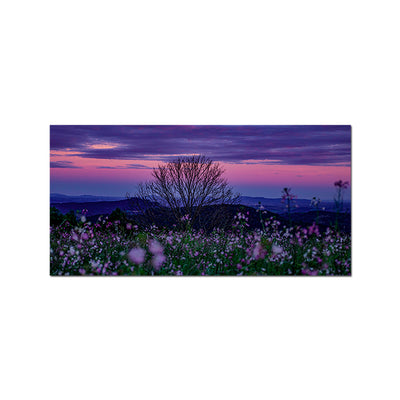 Natural Scenery Lavender Flower Canvas Wall Painting