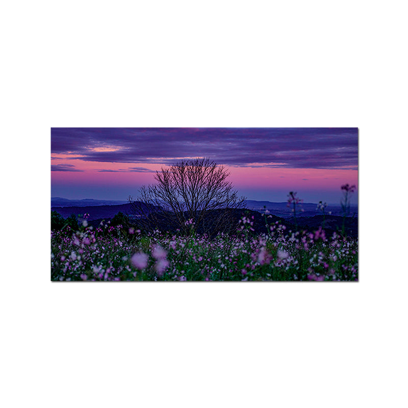 Natural Scenery Lavender Flower Canvas Wall Painting