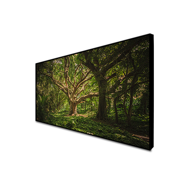 Dark Forest Canvas Floating Frame Wall Painting
