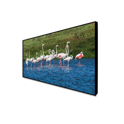 A Group of Flamingos In Water Canvas Floating Frame Wall Painting