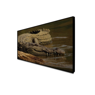 Crocodile In Water Canvas Floating Frame Wall Painting