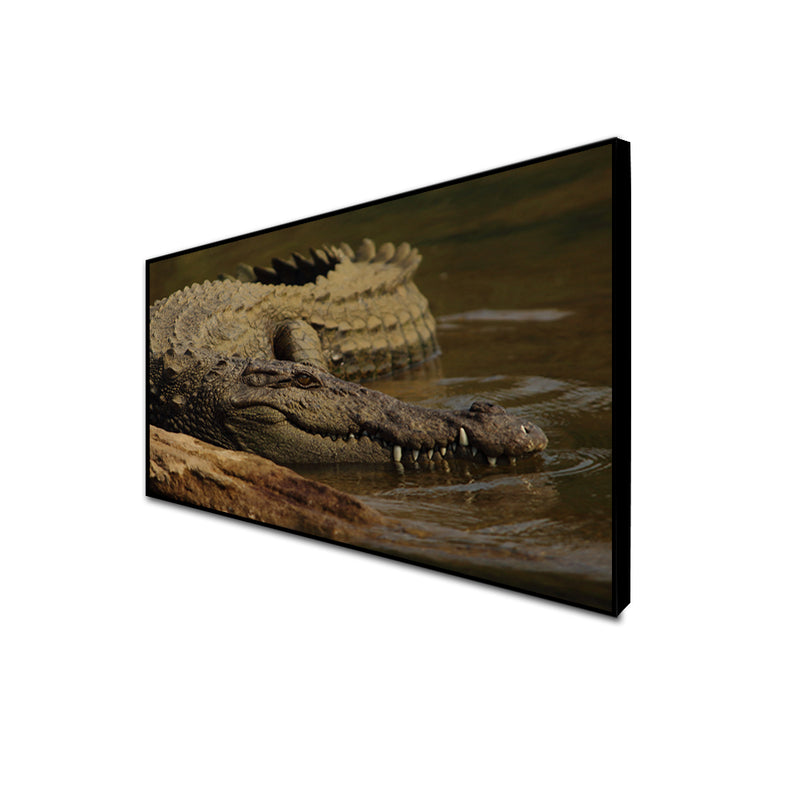Crocodile In Water Canvas Floating Frame Wall Painting