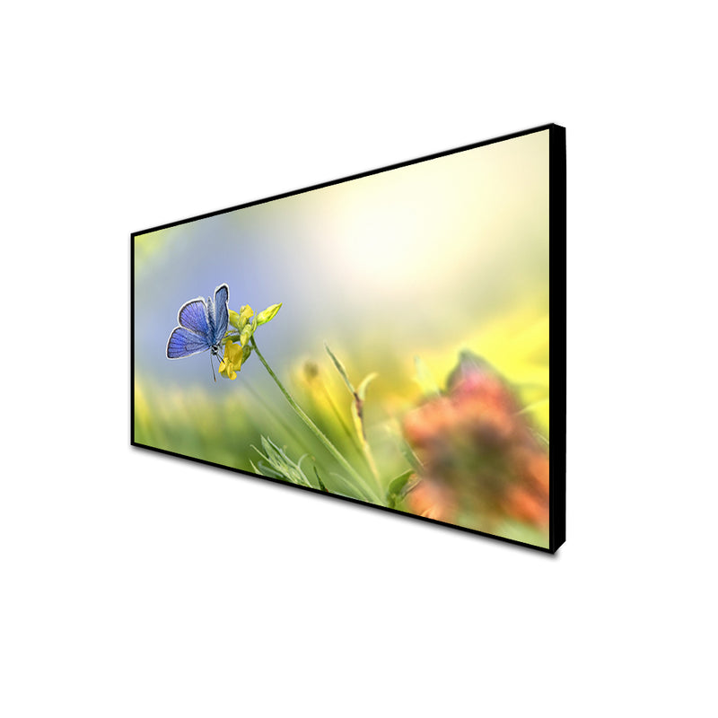 Blue Butterfly Sitting On Flower Floating Frame Canvas Wall Painting