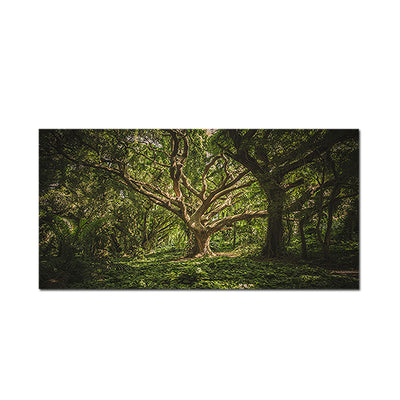 Dark Forest Canvas Wall Painting