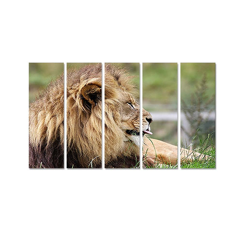 Barbary Lion Canvas  Wall Painting - With 5 Panel