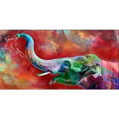 Colorful Elephant Canvas Wall Painting