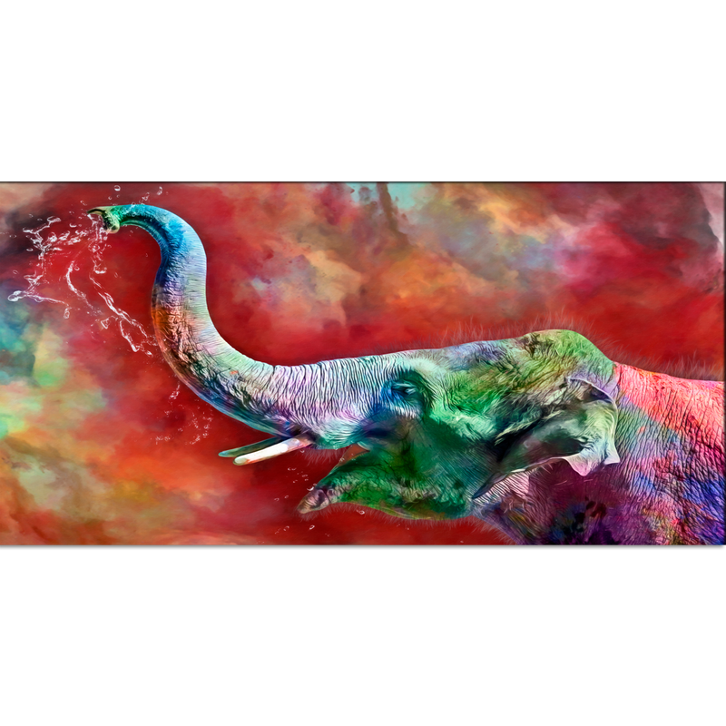 Colorful Elephant Canvas Wall Painting