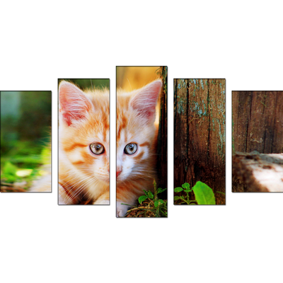 Cute Cat Canvas Wall Painting- With 5 Frames