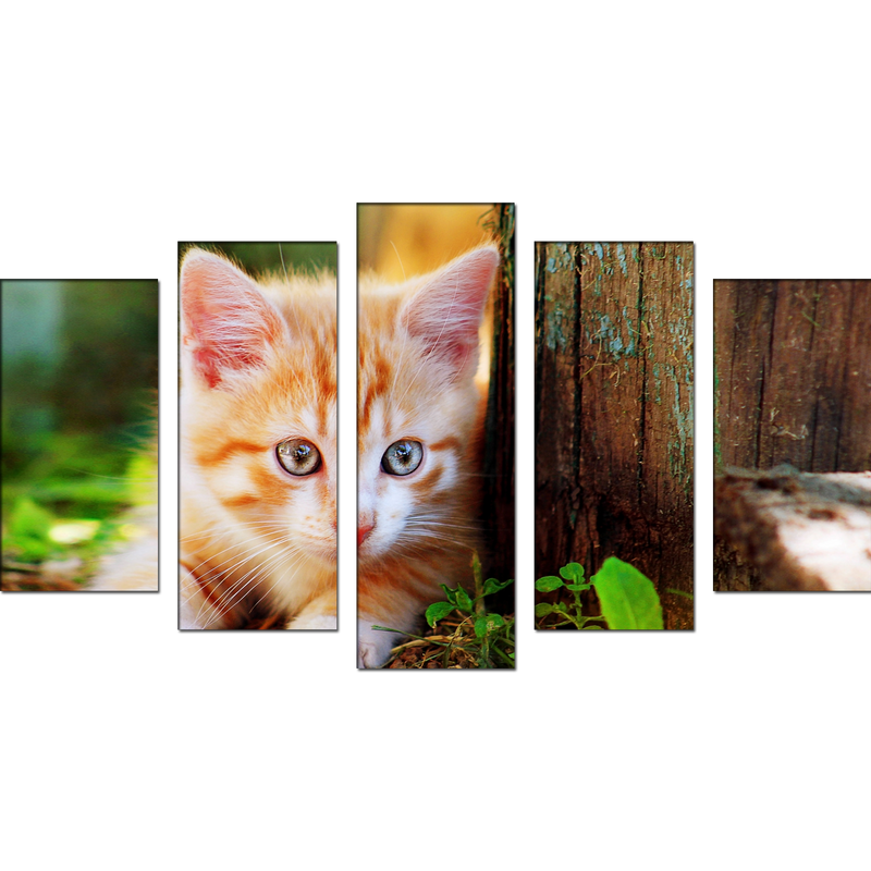 Cute Cat Canvas Wall Painting- With 5 Frames