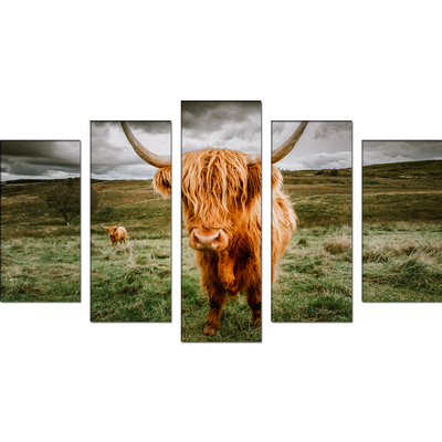 Highland Cattle With Scenic Canvas Wall Painting- With 5 Frames