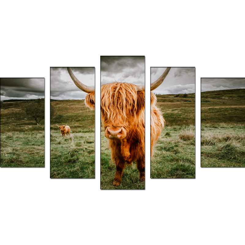 Highland Cattle With Scenic Canvas Wall Painting- With 5 Frames
