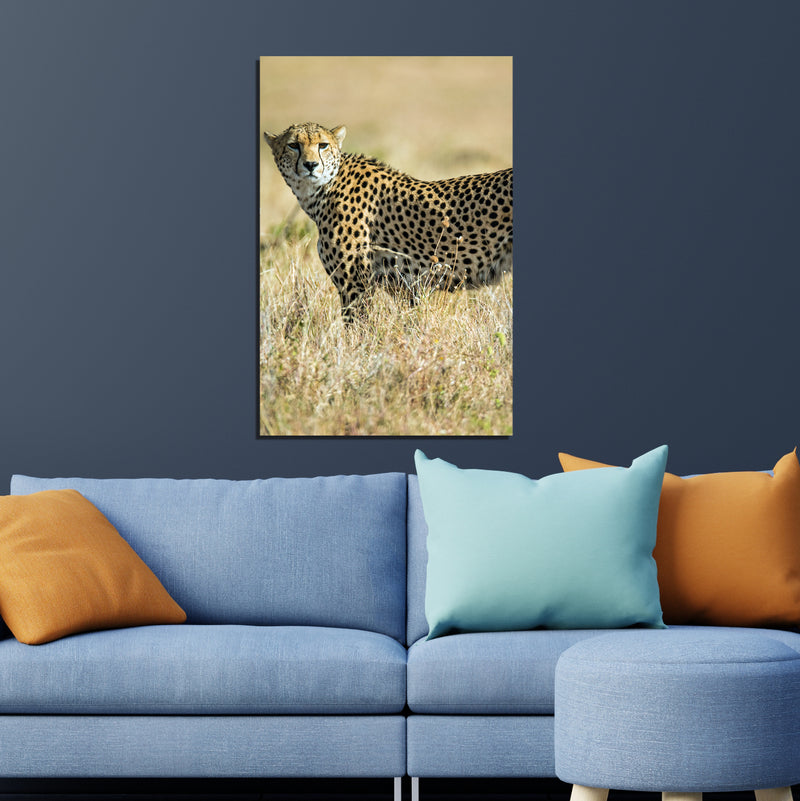 Jaguar Print On Canvas Wall Painting