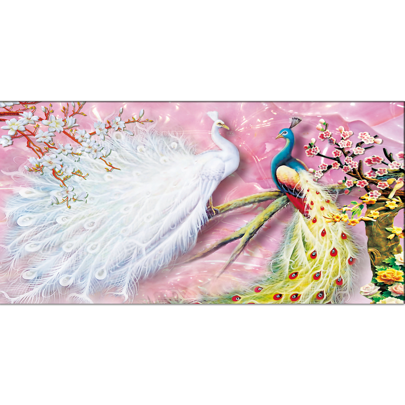 Beautiful White & Colored Peacock Canvas Wall Painting