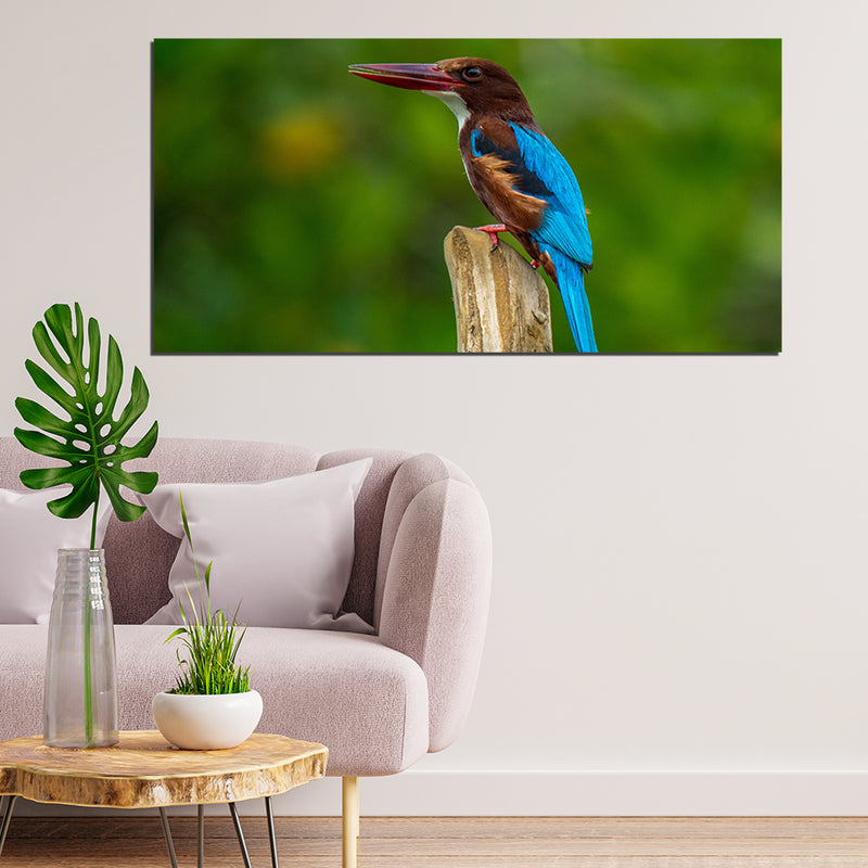 Kingfisher Bird Canvas Print Wall Painting
