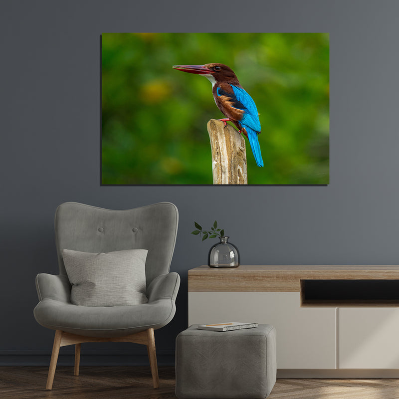Kingfisher Bird Canvas Print Wall Painting