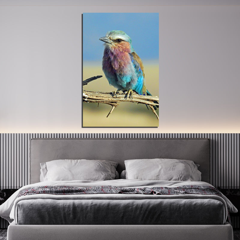 lilac breasted roller color palette On Canvas Wall Painting