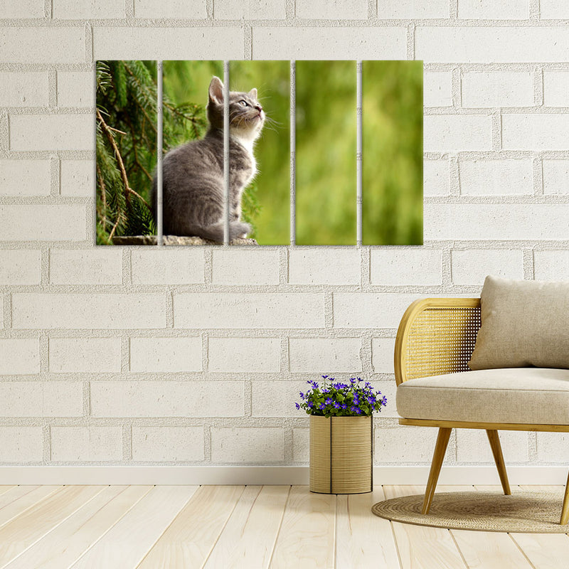 Lovely Cat Canvas Wall Painting - With 5 Panel
