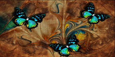 Butterfly Abstract Canvas Wall Painting