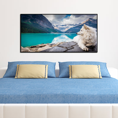 A White Dog Sitting On A Rock Canvas Floating Frame Wall Painting