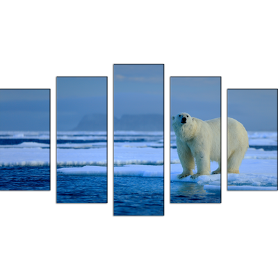 Big Polar Bear Canvas Wall Painting- With 5 Frames