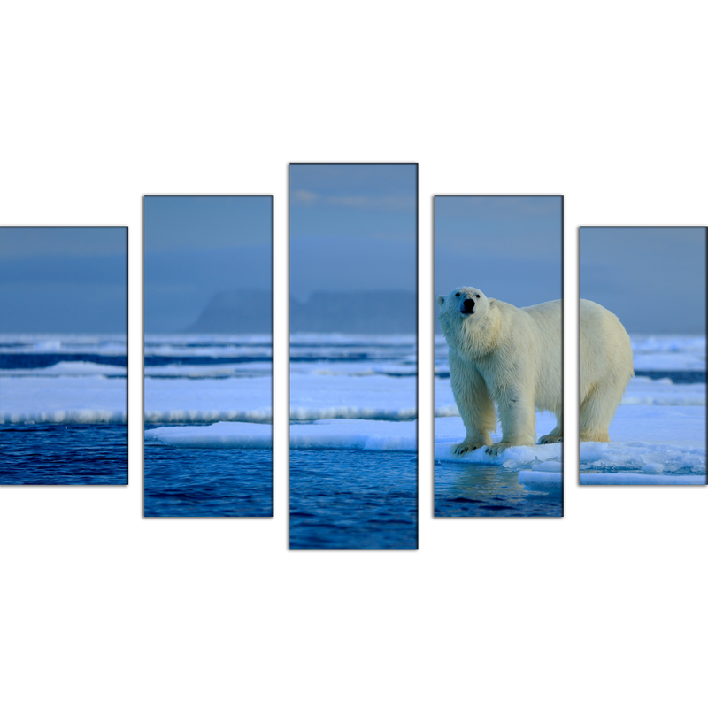 Big Polar Bear Canvas Wall Painting- With 5 Frames