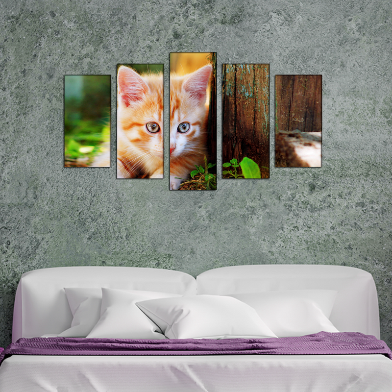 Cute Cat Canvas Wall Painting- With 5 Frames