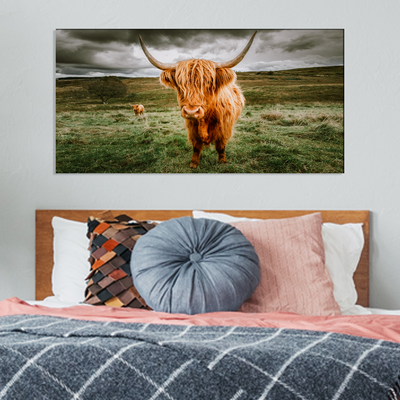 Highland Cattle With Scenic Canvas Wall Painting