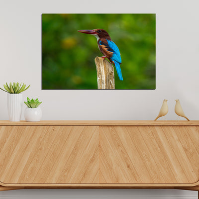 Kingfisher Bird Canvas Print Wall Painting