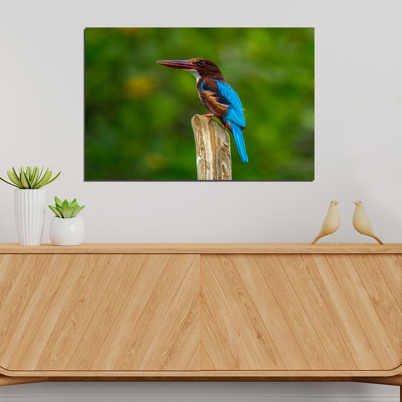 Kingfisher Bird Canvas Print Wall Painting
