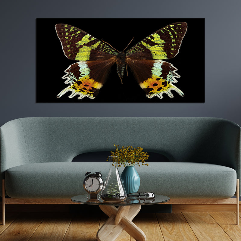 Beautiful Multicolor Butterfly On Canvas Wall Painting