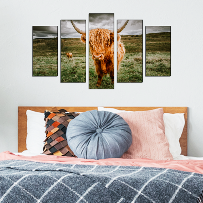 Highland Cattle With Scenic Canvas Wall Painting- With 5 Frames