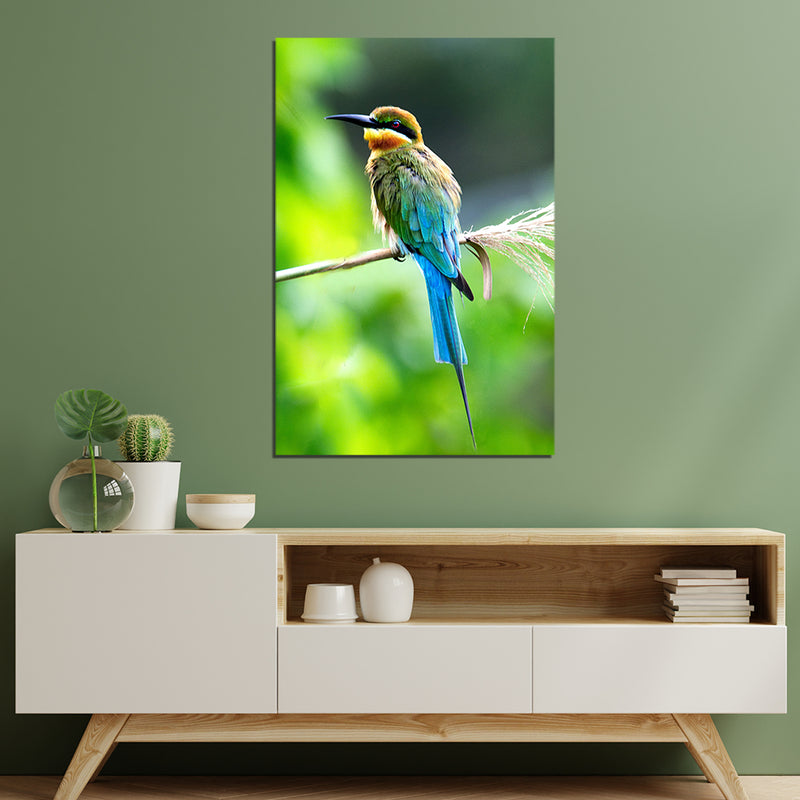 Bird Print On Canvas Wall Painting