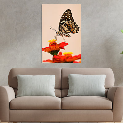 Butterfly Sitting On Flower Print Canvas Wall Painting