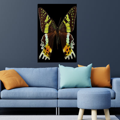 Butterfly Print On Canvas Wall Painting