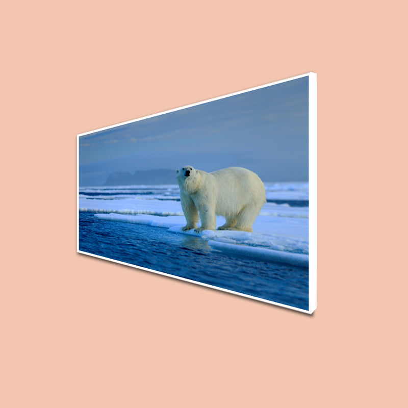 Big Polar Bear Canvas Floating Frame Wall Painting