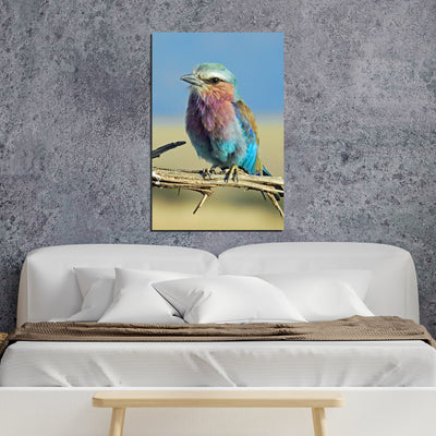 lilac breasted roller color palette On Canvas Wall Painting