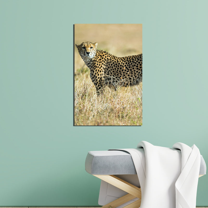 Jaguar Print On Canvas Wall Painting