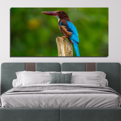 Kingfisher Bird Canvas Print Wall Painting
