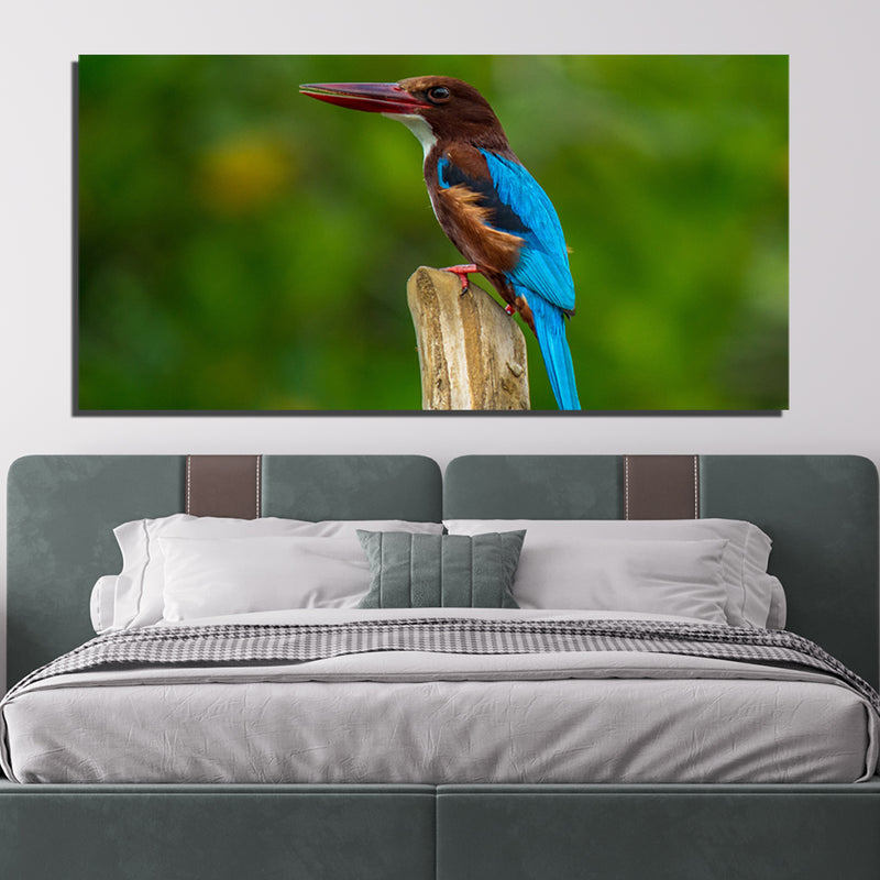Kingfisher Bird Canvas Print Wall Painting