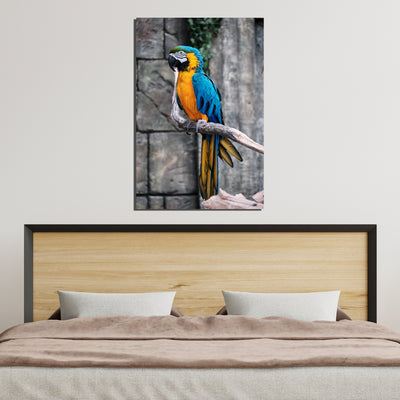 Macaw Bird On Canvas Wall Painting