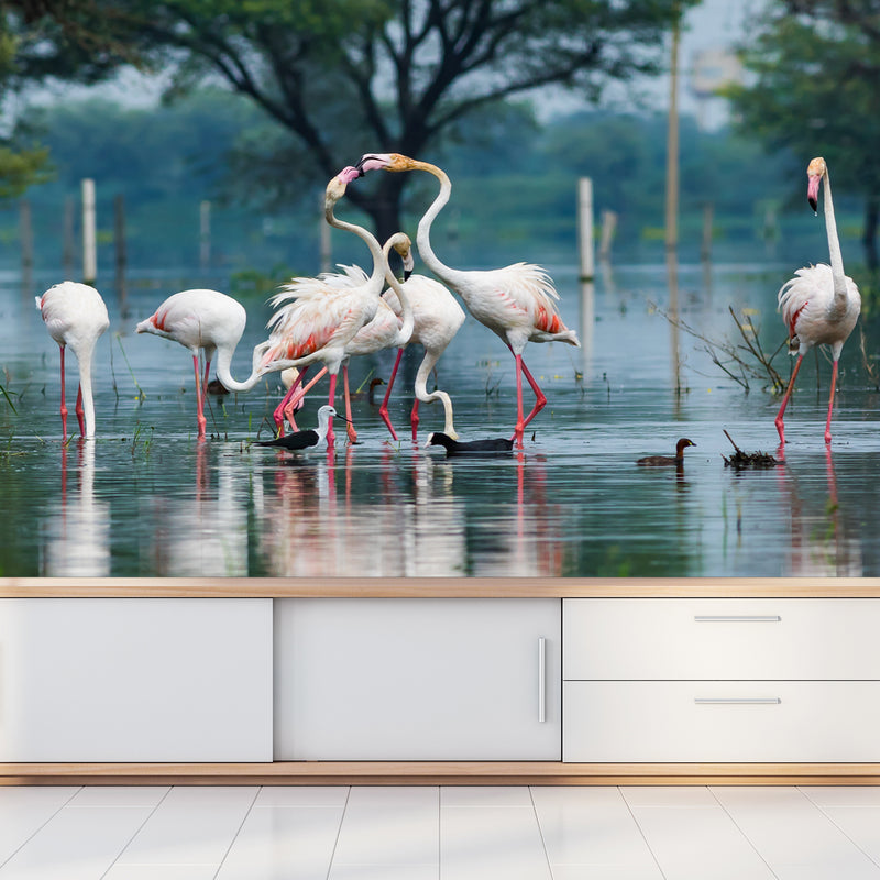 Flamingo Birds Digitally Printed Wallpaper