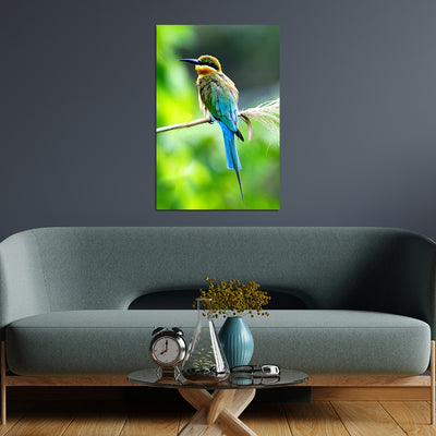 Bird Print On Canvas Wall Painting