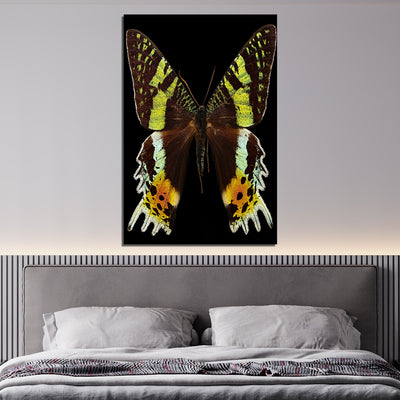 Butterfly Print On Canvas Wall Painting