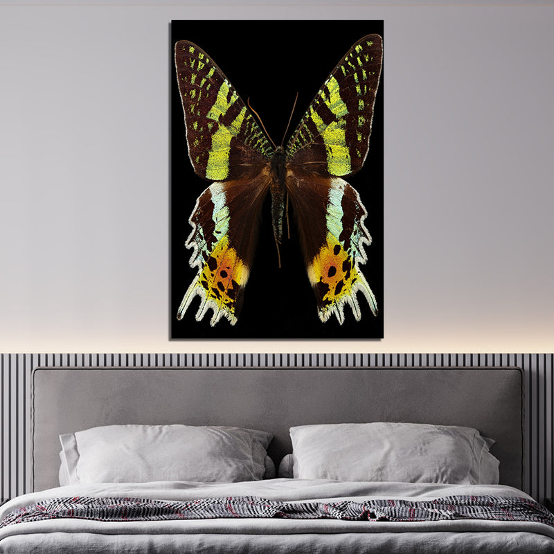 Butterfly Print On Canvas Wall Painting