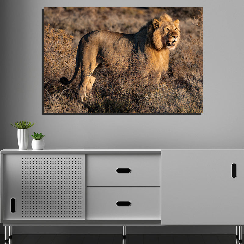 Lion Print On Canvas Wall Painting